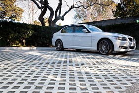 Grass Paver