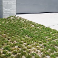 Grass Paver